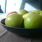 Appartement Bismarck Mainhouse Düsseldorf